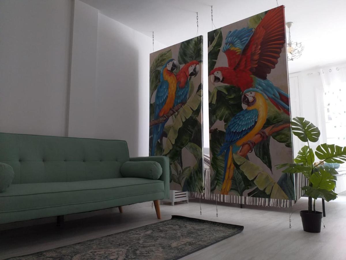 Appartamento Tropical Loft Corralejo Esterno foto