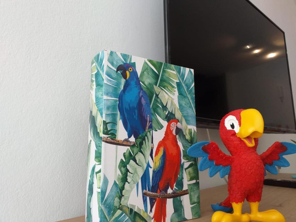 Appartamento Tropical Loft Corralejo Esterno foto
