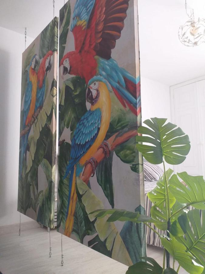Appartamento Tropical Loft Corralejo Esterno foto